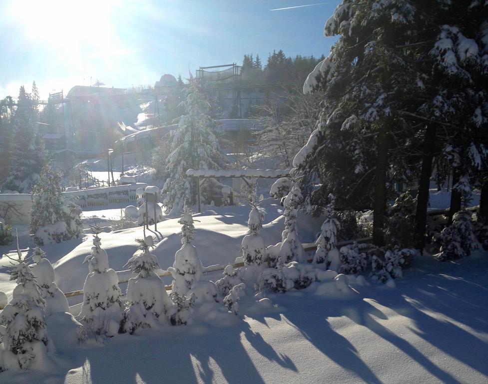 Fewo-Winterberg Exterior photo
